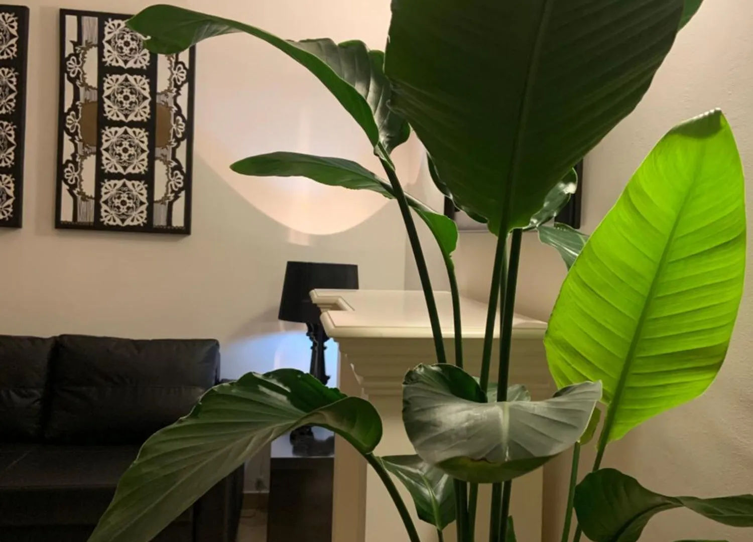 Bari Downtown Luxury Apartment